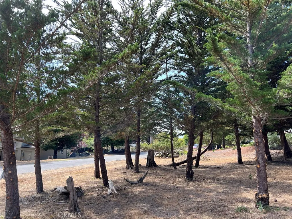 0 Warren Road Cambria, CA 93428 - Photo 22 of 29 a view of park