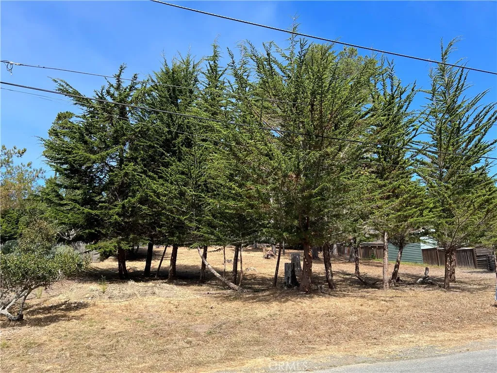 0 Warren Road Cambria, CA 93428 - Photo 24 of 29