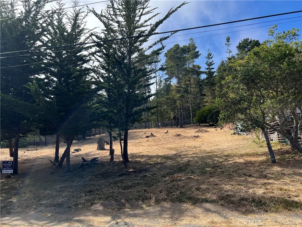 0 Warren Road Cambria, CA 93428 - Photo 25 of 29 a view of a yard with a tree
