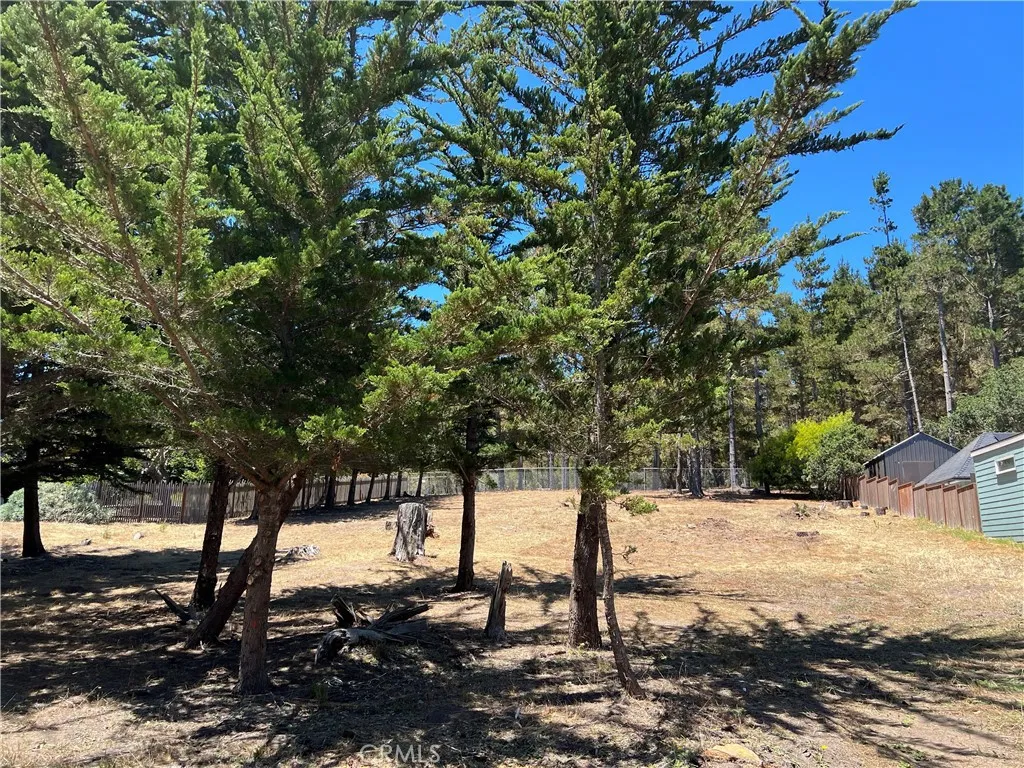0 Warren Road Cambria, CA 93428 - Photo 27 of 29 a view of a yard with trees