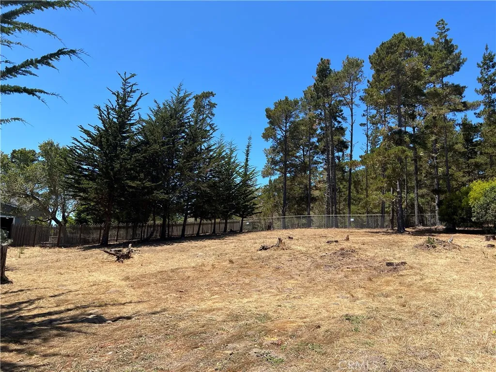 0 Warren Road Cambria, CA 93428 - Photo 29 of 29 a street view covered with snow