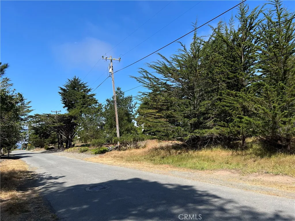 0 Warren Road Cambria, CA 93428 - Photo 4 of 29 a view of a yard with a tree