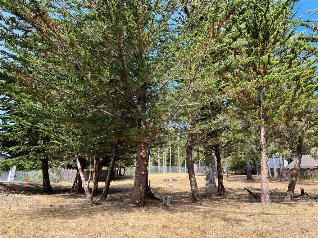 0 Warren Road Cambria, CA 93428 - Photo 7 of 29 a view of outdoor space with seating area