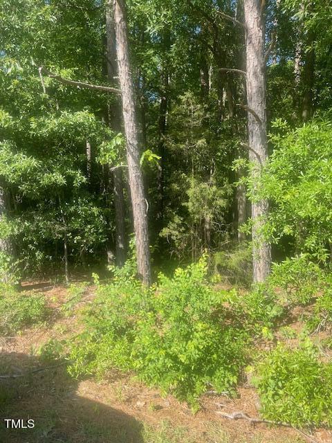1106 Clayton Road Durham, NC 27703 - Photo 1 of 3 a view of a garden