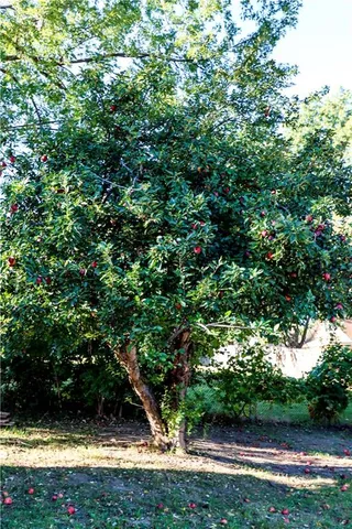 $175,000 | 5814 Northeast Gunn Avenue, Kansas City, MO 64119