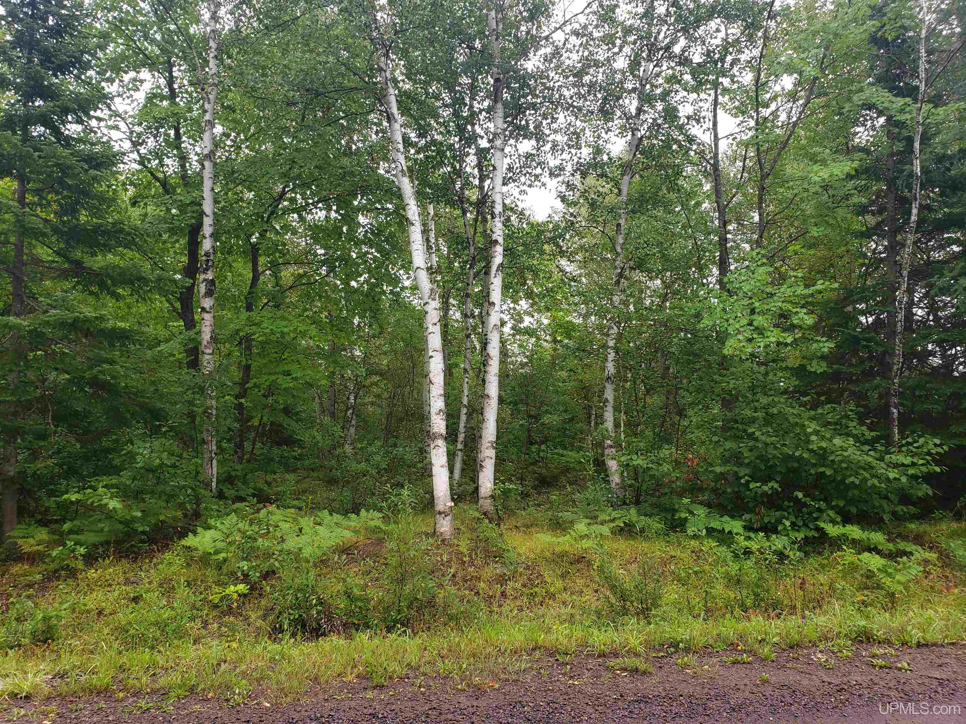Tbd A Tbd A Tecumseh Road Calumet, MI 49913 - Photo 29 of 45