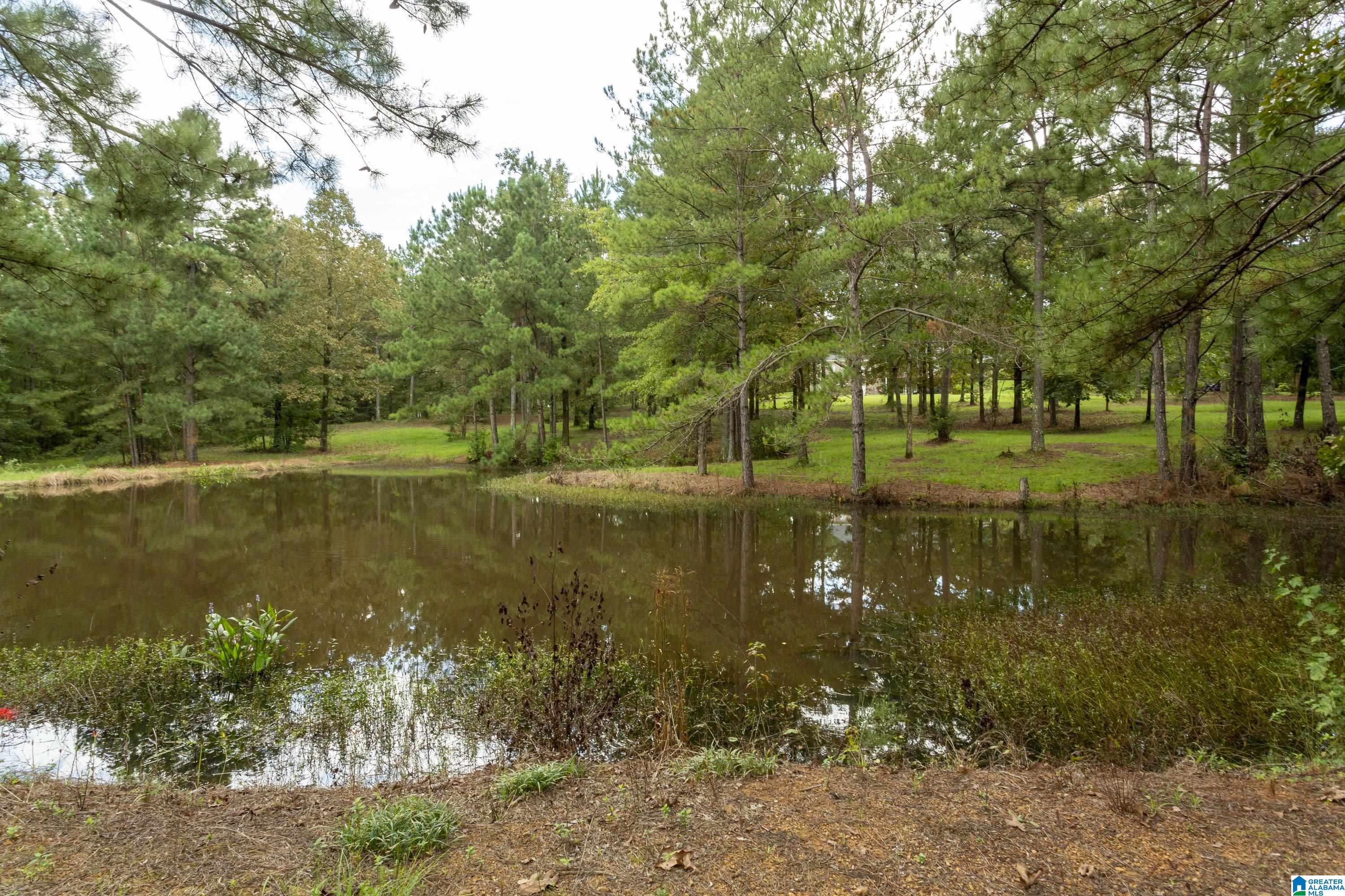 1475 County Road 42 Calera, AL 35040 - Photo 18 of 73