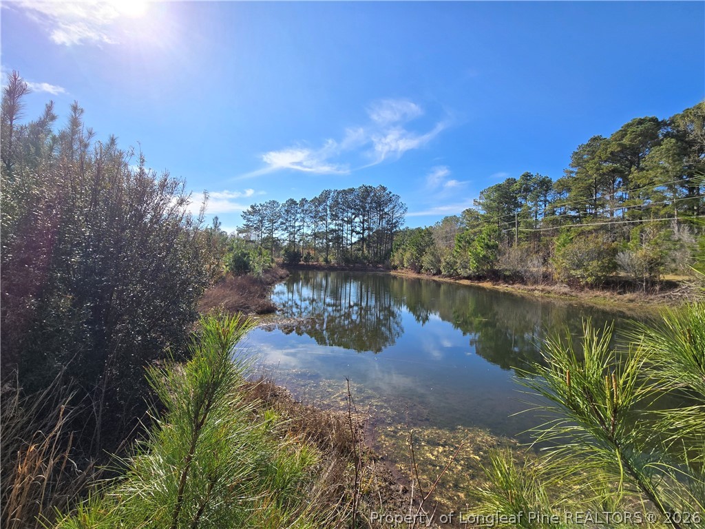 5076 Sanderosa Road Fayetteville, NC 28312 - Photo 3 of 40