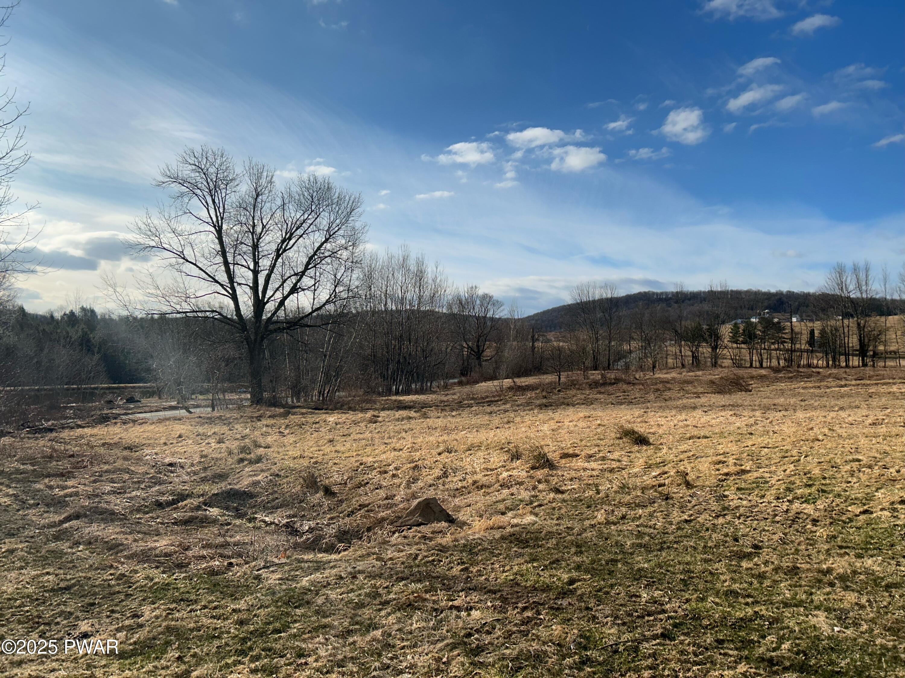 246 Czapnik Road Pleasant Mount, PA 18453 - Photo 23 of 29