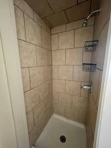 a bathroom with a shower and a bathtub