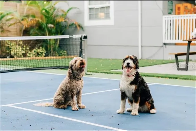 $4,500 | 2705 North Oakdale Avenue, Tampa, FL 33602