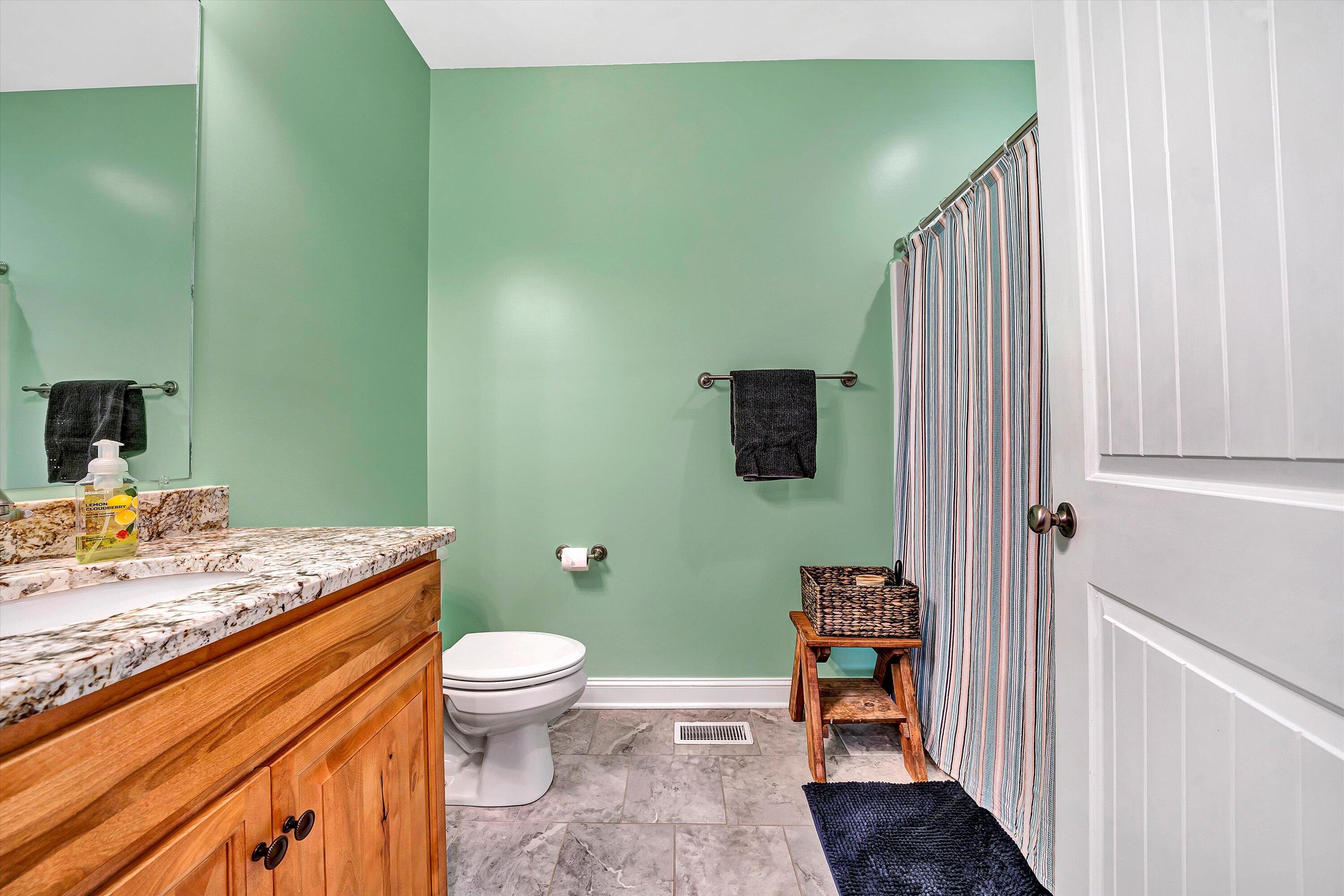 8350 Newport Road Catawba, VA 24070 - Photo 28 of 75 a bathroom with a granite countertop toilet and a sink