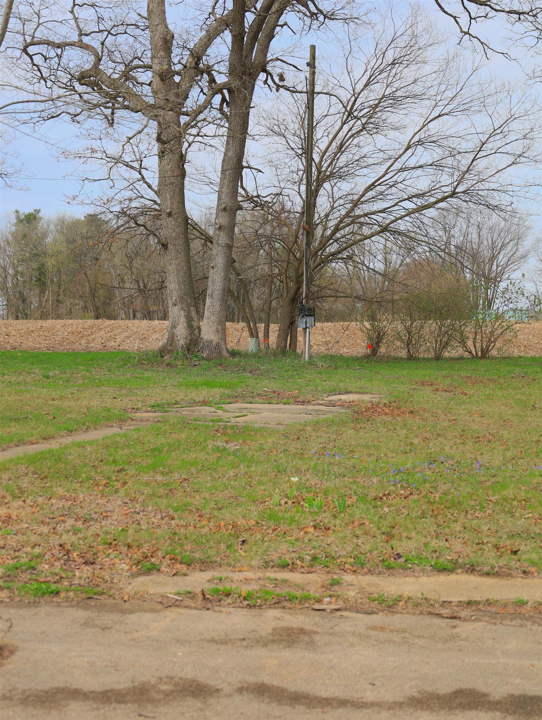 4500 East River Road Ridott, IL 61067 - Photo 45 of 54 a view of a field with an trees