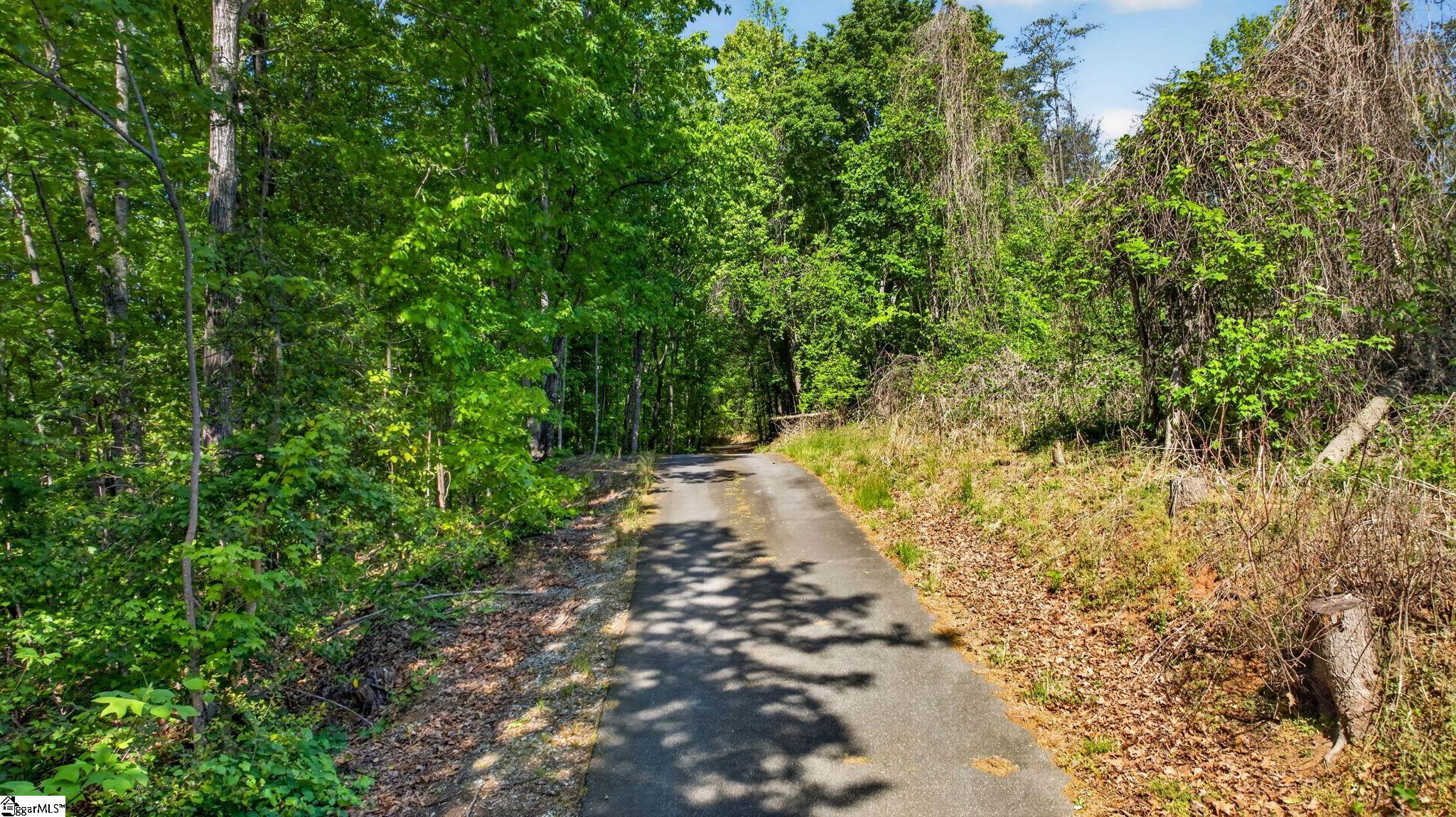 0 Goodwin Bridge Road Travelers Rest, SC 29690 - Photo 8 of 30