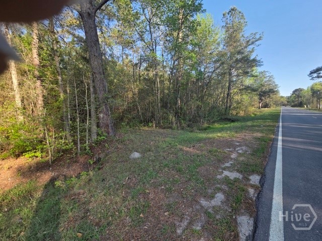 0 Bill Carter Road Midway, GA 31320 - Photo 1 of 5 Gallery Image 1