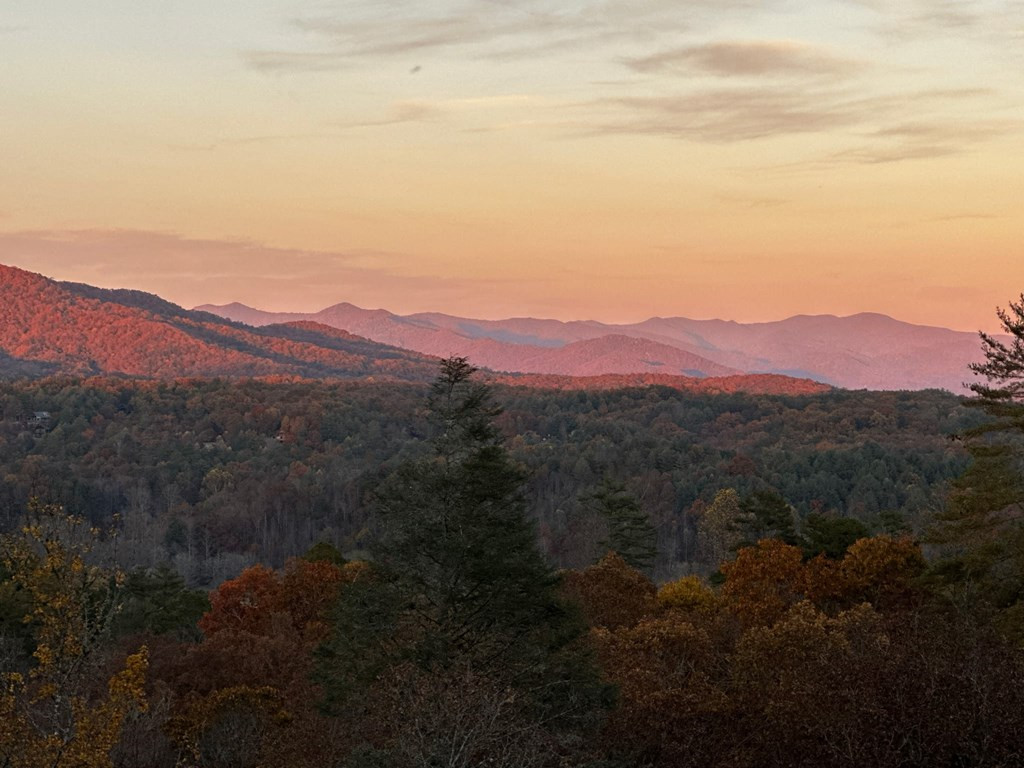 455 Point Overlook Trail Murphy, NC 28906 - Photo 51 of 56