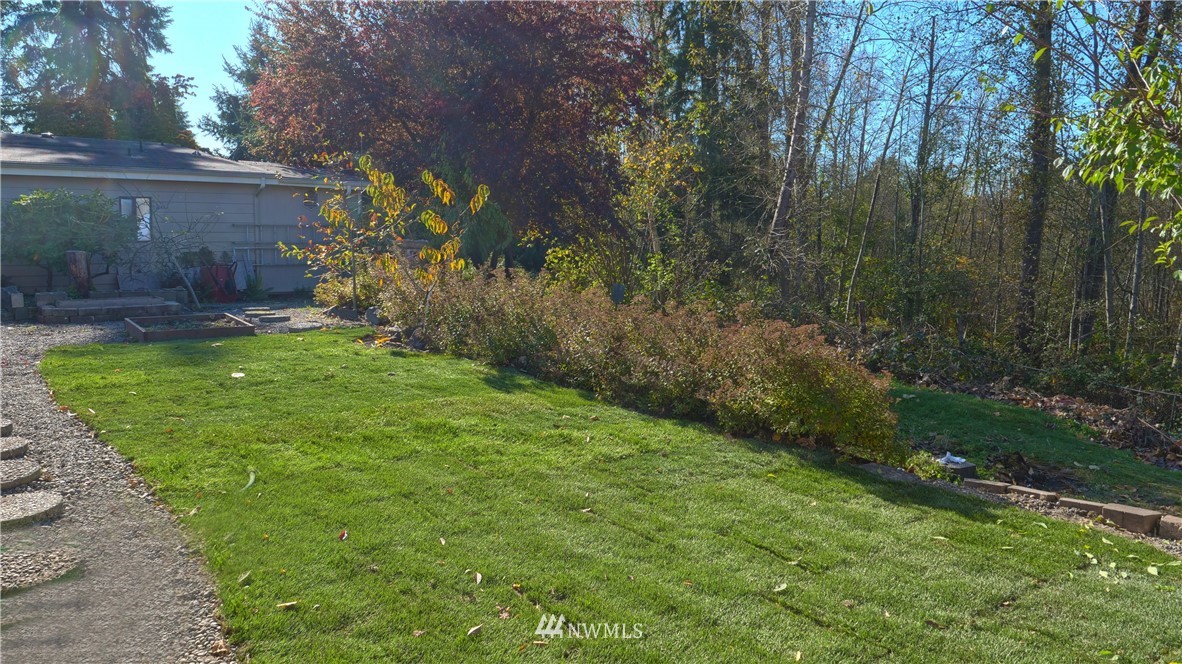 1128 Lake View Circle Bothell, WA 98021 - Photo 24 of 25 a view of a backyard with potted plants and large trees