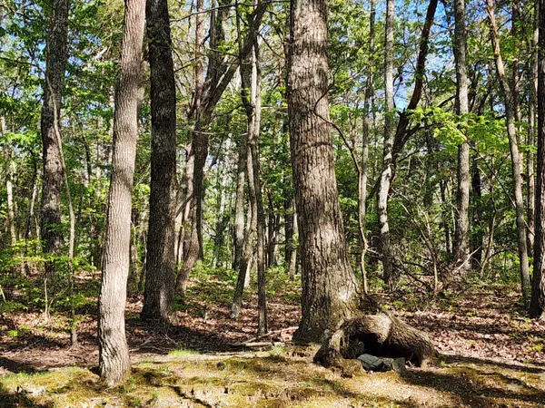 $390,000 | 73 County Road 66, Fort Payne, AL 35967