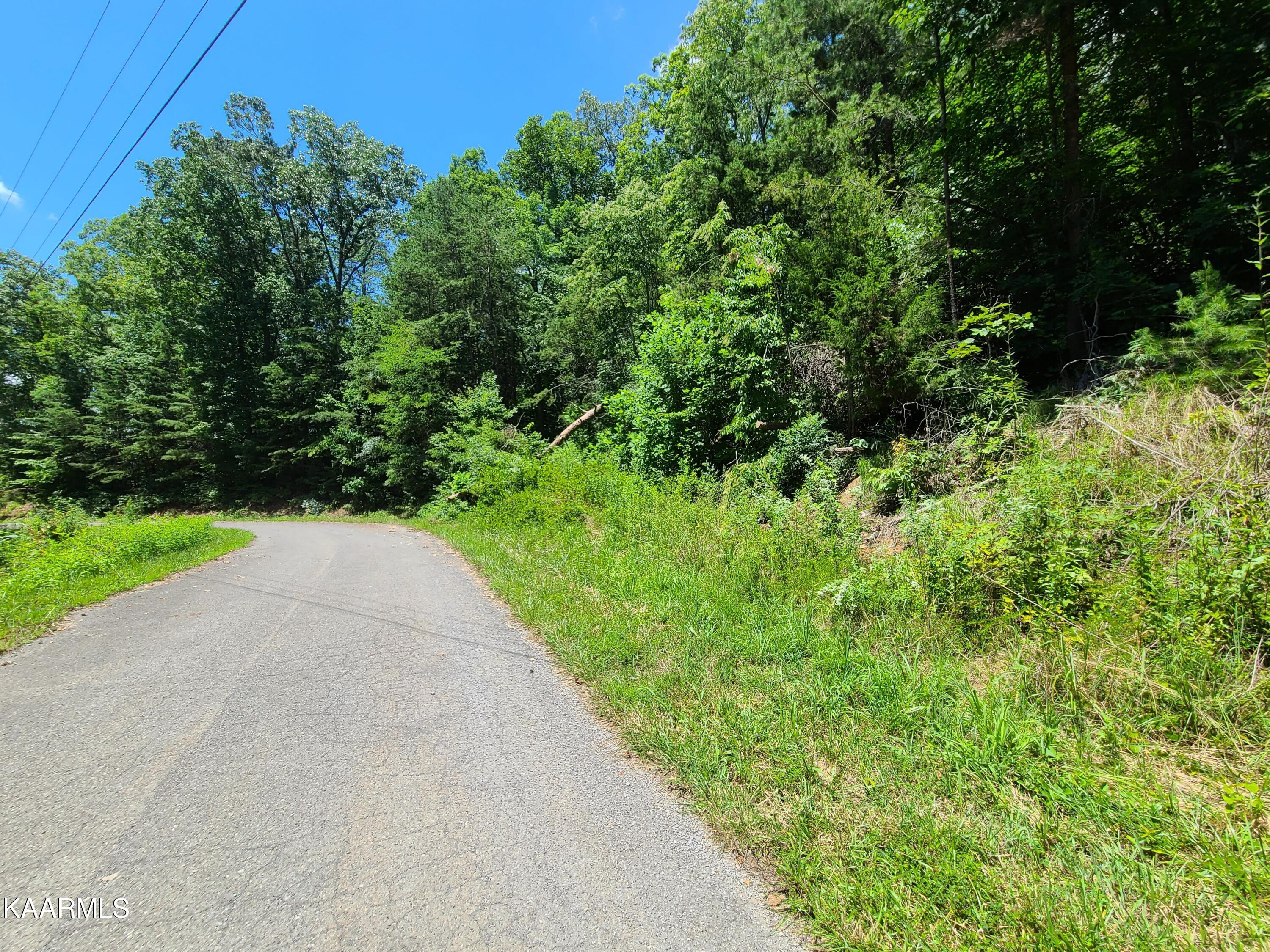 256 Big Ridge Point Sharps Chapel, TN 37866 - Photo 3 of 22 20220715_130120