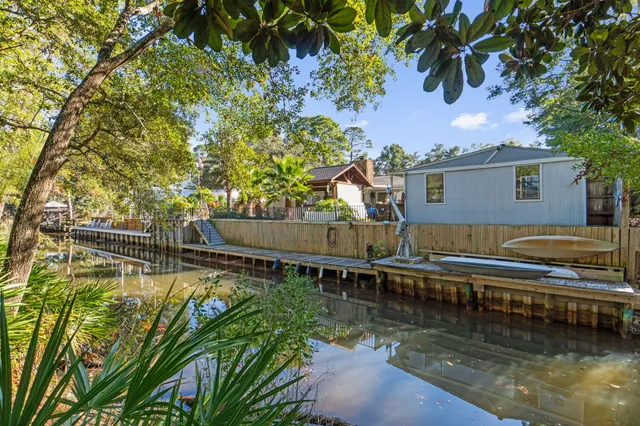 a view of a yard with plants and trees