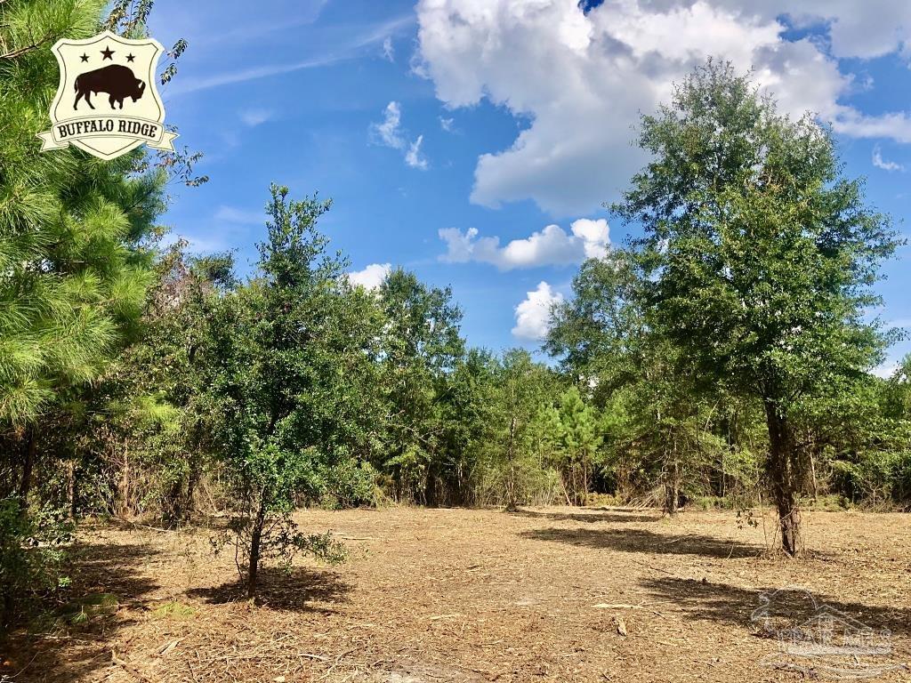 Lot 21-bs Buffalo Ridge Road Pace, FL 32571 - Photo 1 of 11