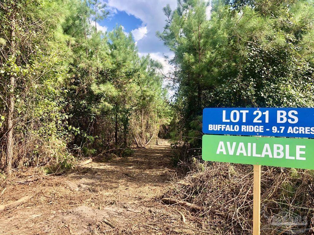 Lot 21-bs Buffalo Ridge Road Pace, FL 32571 - Photo 2 of 11