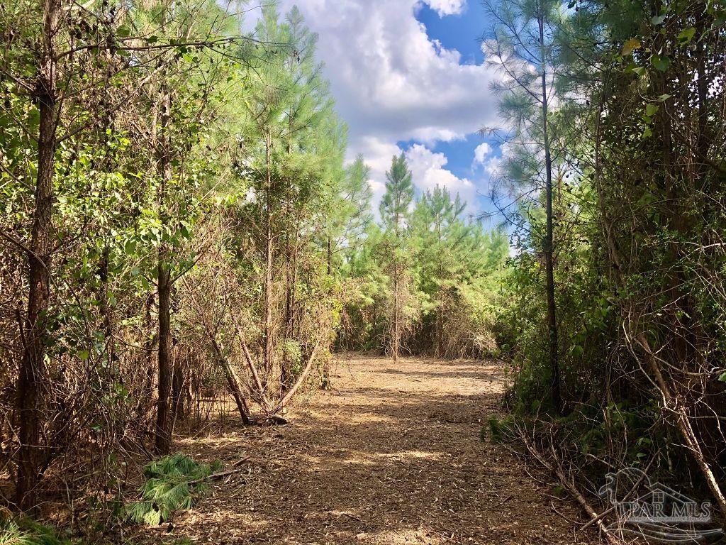Lot 21-bs Buffalo Ridge Road Pace, FL 32571 - Photo 4 of 11