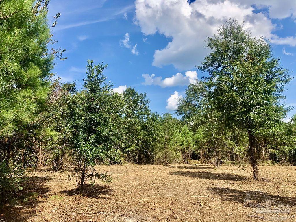 Lot 21-bs Buffalo Ridge Road Pace, FL 32571 - Photo 5 of 11