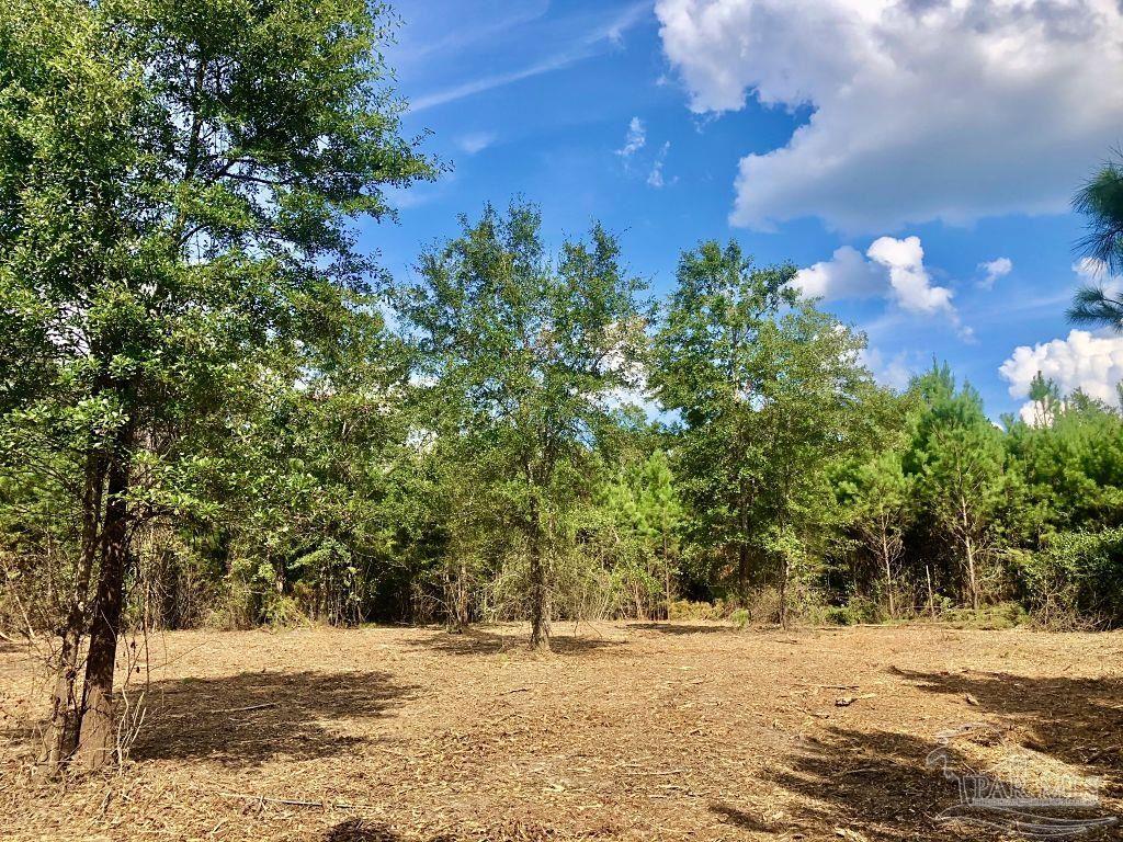 Lot 21-bs Buffalo Ridge Road Pace, FL 32571 - Photo 6 of 11