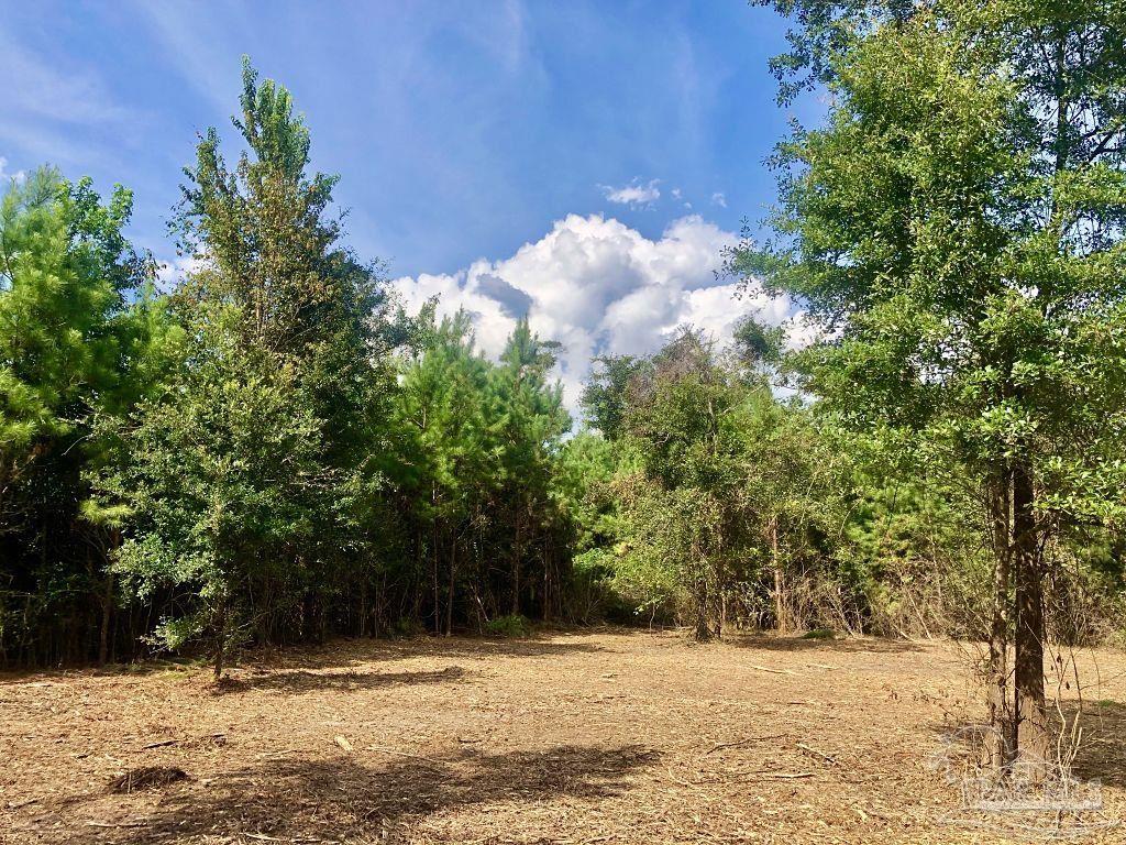 Lot 21-bs Buffalo Ridge Road Pace, FL 32571 - Photo 7 of 11