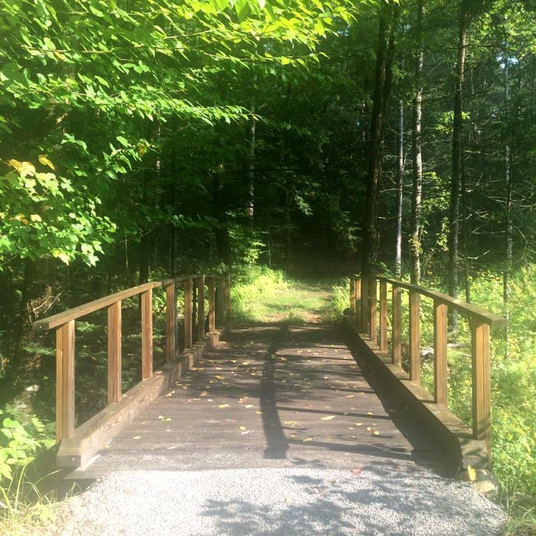 111 Abbott Road North Berwick, ME 03906 - Photo 15 of 55 z8