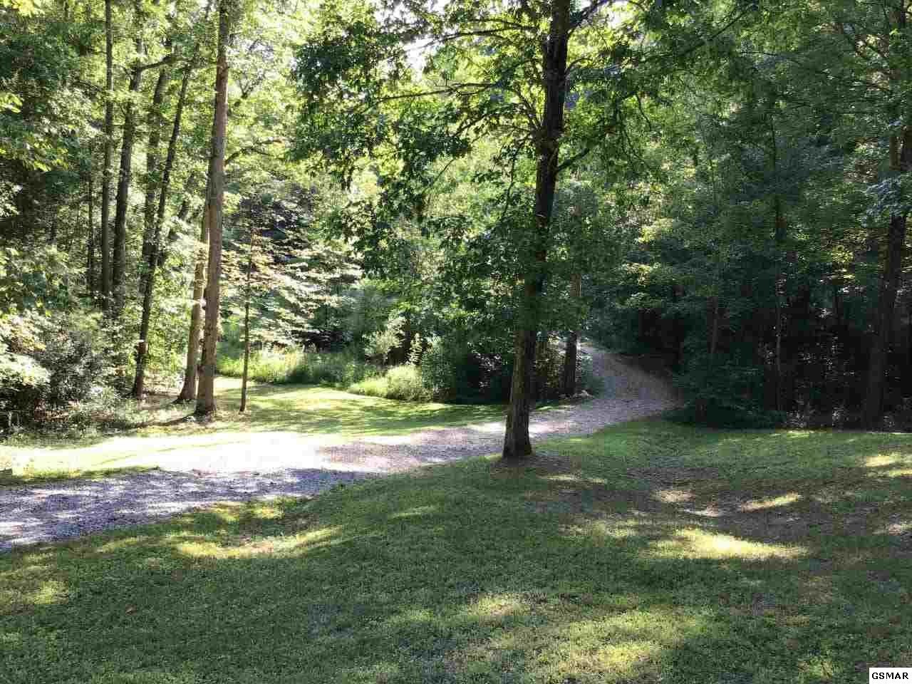 200 Cove Hollow Road Cosby, TN 37722 - Photo 18 of 23 Gallery Image 18
