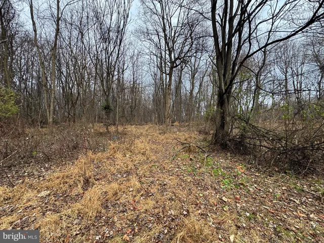 a view of backyard with green space