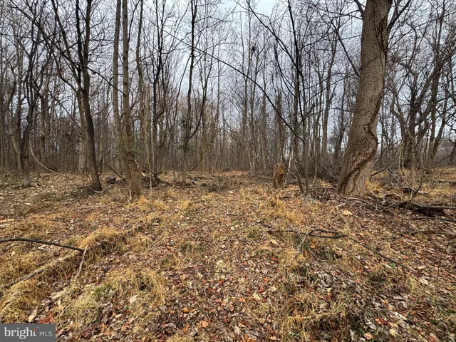 a view of wooden fence
