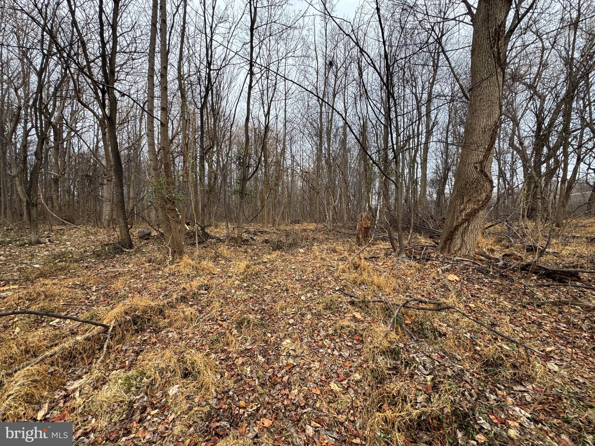Peach Tree Road Poolesville, MD 20837 - Photo 6 of 7 a view of wooden fence