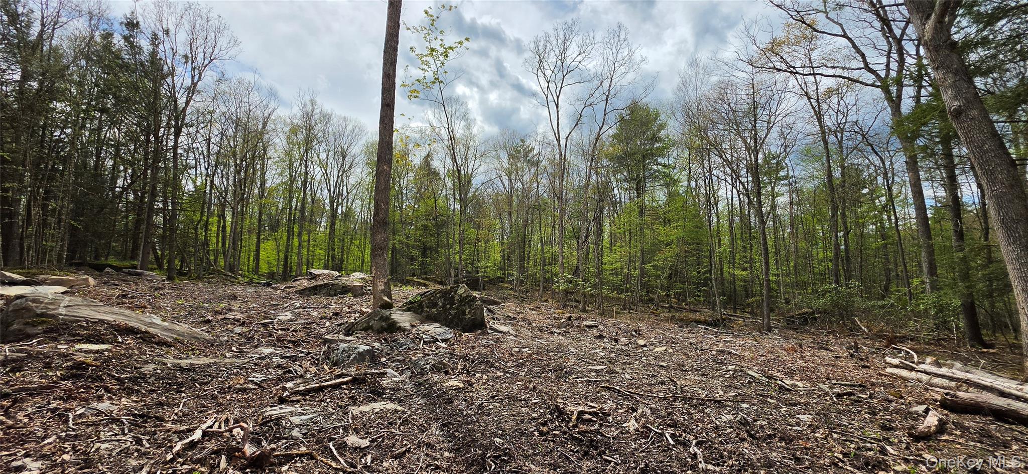 Lot 82 Perry Pond Road Narrowsburg, NY 12764 - Photo 7 of 14