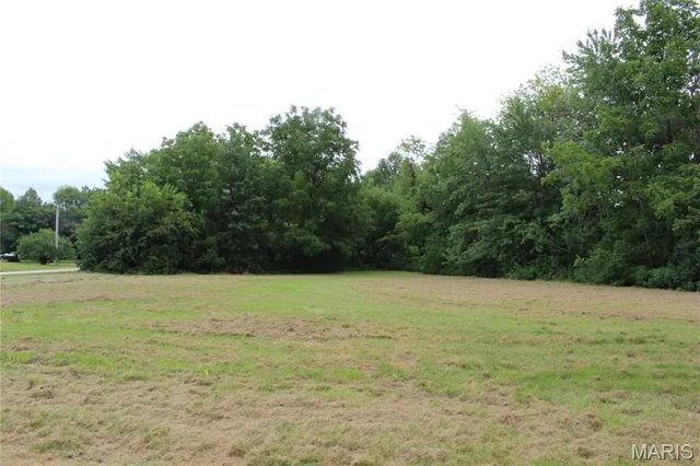 $42,500 | 7 East Pine Street, Bellflower, MO 63333