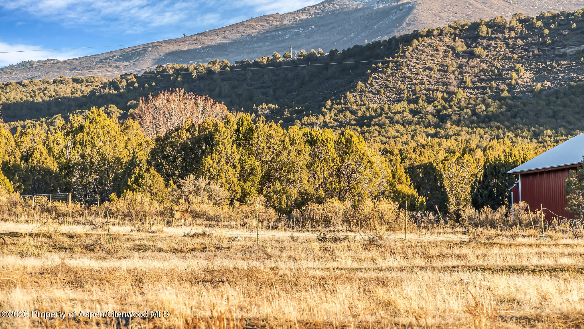 201 Dj Road, Unit 201 DJ ROAD BUNK HOUSE Rifle, CO 81650 - Photo 82 of 83 DSC02408