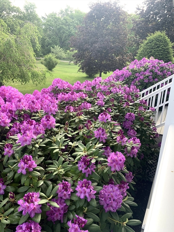 136 Chandler Road Andover, MA 01810 - Photo 42 of 42