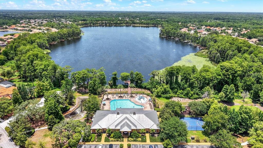 9137 Creedmoor Lane New Port Richey, FL 34654 - Photo 53 of 62