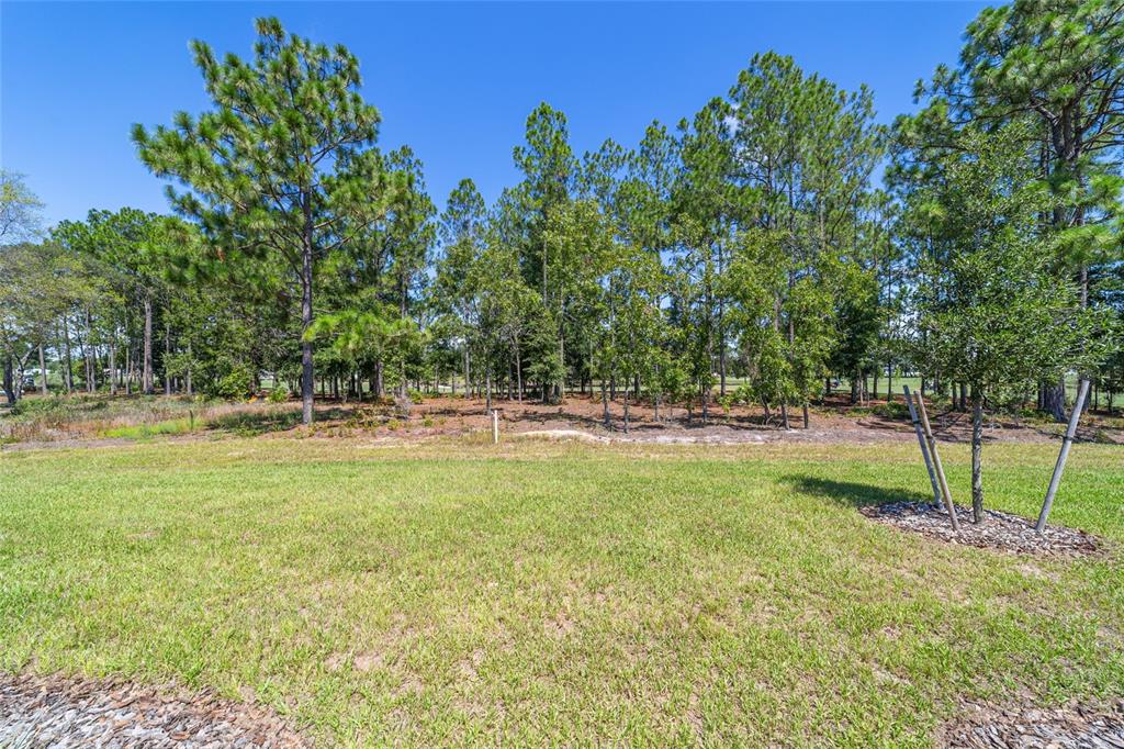 10537 Southwest 96th Lane Road Ocala, FL 34481 - Photo 16 of 75 a view of outdoor space with garden