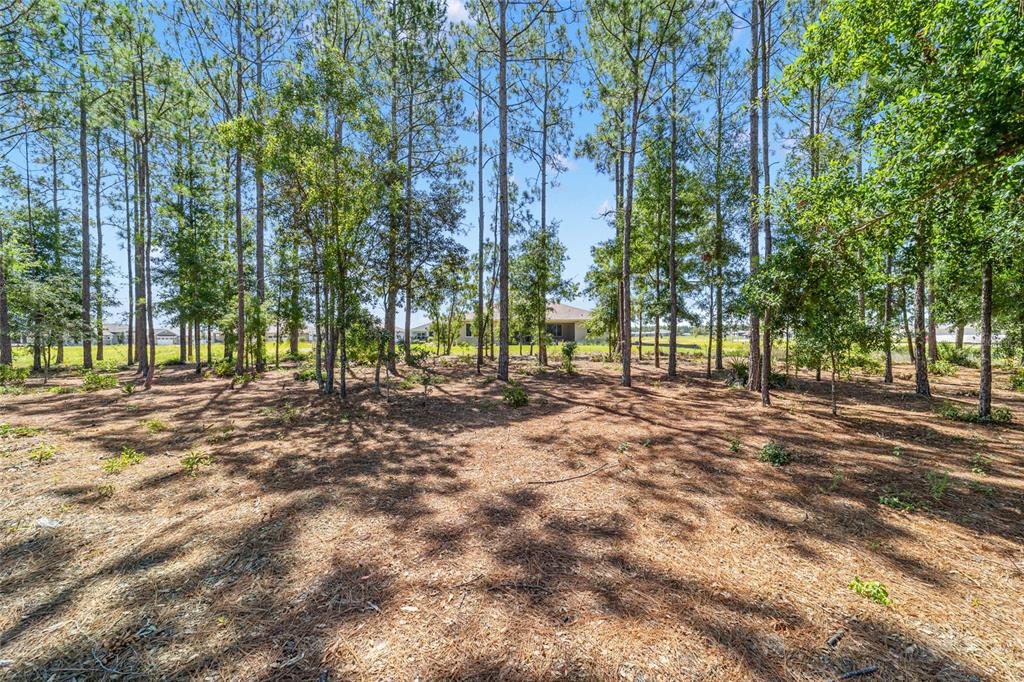 10537 Southwest 96th Lane Road Ocala, FL 34481 - Photo 20 of 75