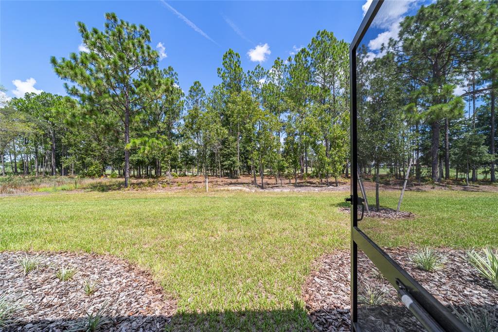 10537 Southwest 96th Lane Road Ocala, FL 34481 - Photo 75 of 75 a view of outdoor space with garden
