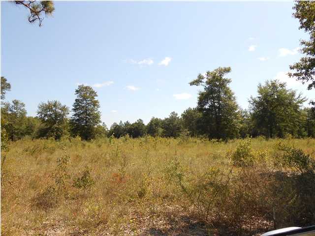 393 Crestview Crestview, FL 32539 - Photo 1 of 4 Primary Photo