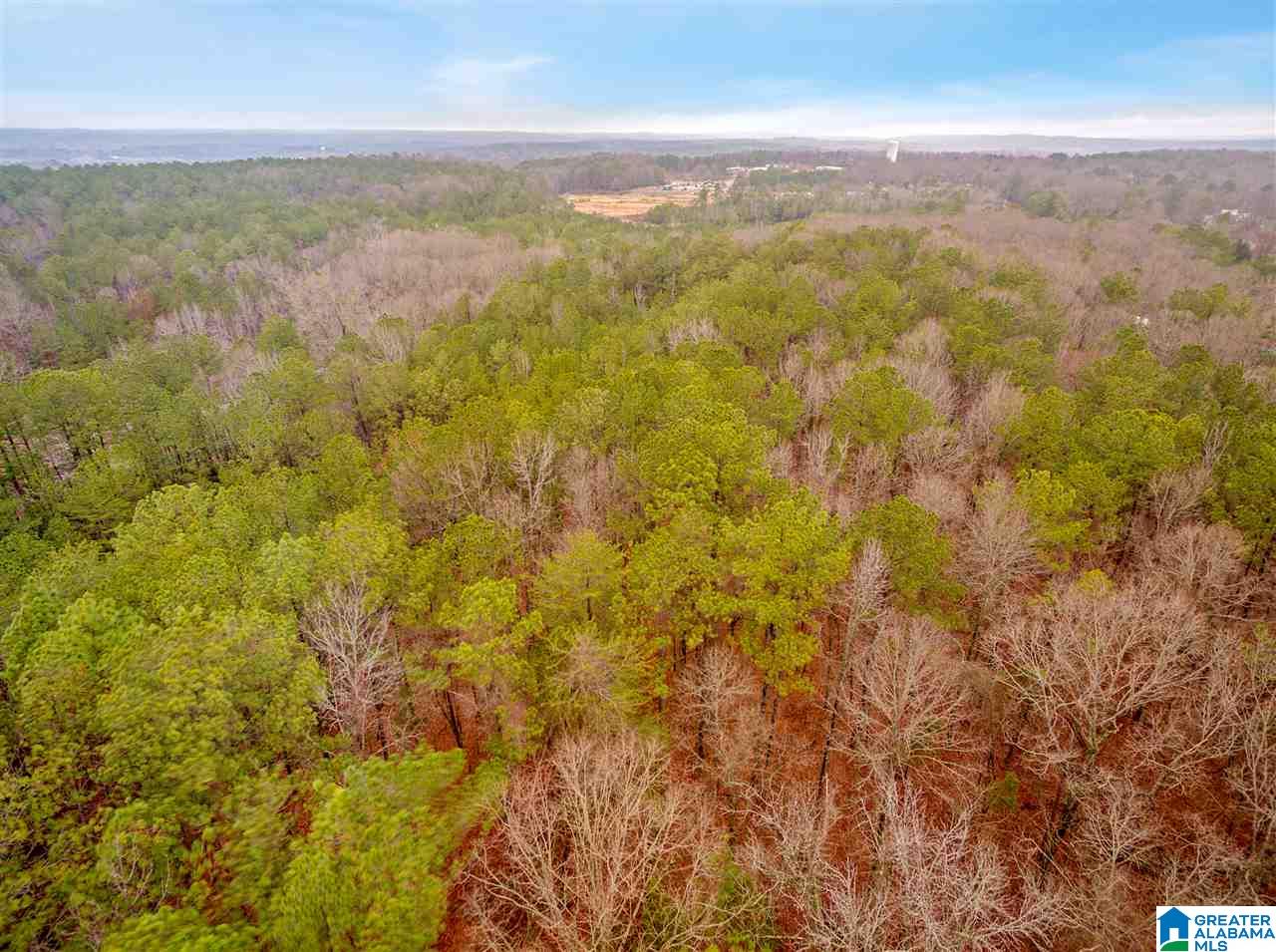 0 Clay Pit Road, Unit 7 AACRES ON CLAY PIT ROAD Montevallo, AL 35115 - Photo 5 of 7