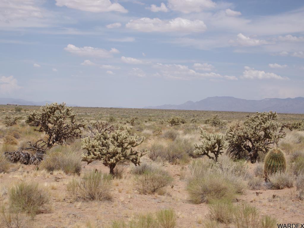 0 North Deer Horn Road Kingman, AZ 86401 - Photo 1 of 6 Additional Photo