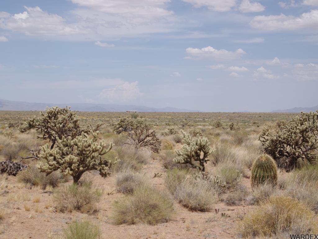 0 North Deer Horn Road Kingman, AZ 86401 - Photo 4 of 6 Additional Photo