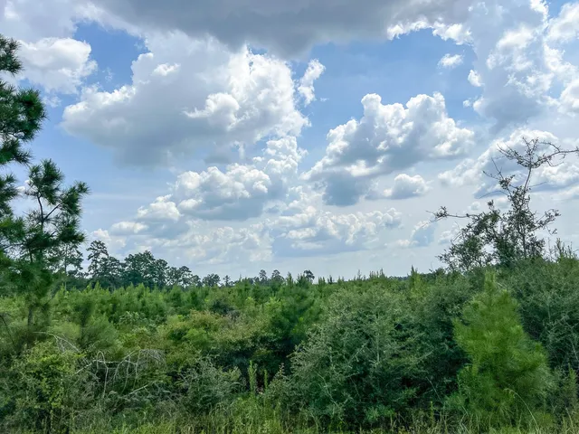 $149,600 | 3 Rec Road 255, Brookeland, TX 75931