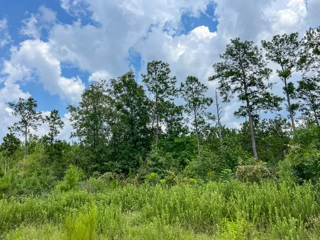 $149,600 | 3 Rec Road 255, Brookeland, TX 75931