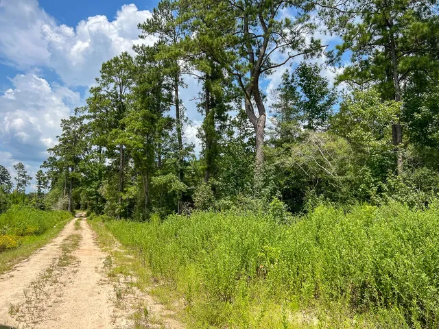 $149,600 | 3 Rec Road 255, Brookeland, TX 75931